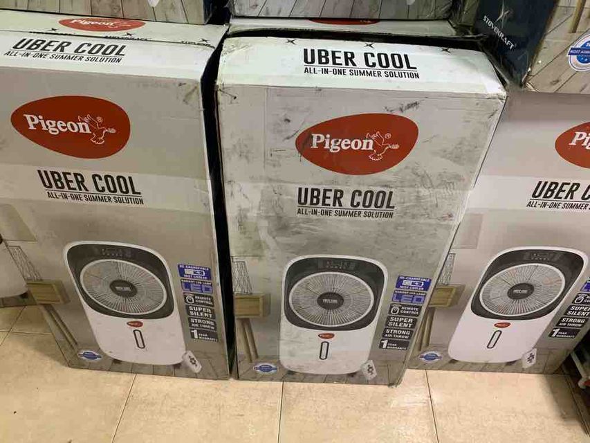 pigeon uber cool 12776